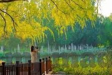 91麻豆传媒在线视频-光影的艺术，解锁网络视频的多元视角与价值