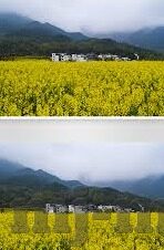 孙建弘麻豆视频-孙建弘与麻豆视频，线上线下融合的幽默实践