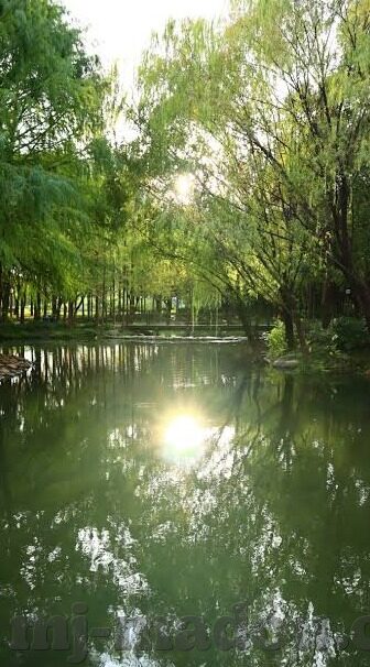 糖心视频app主页代言人-悦动视界，糖心相伴 —— 探秘糖心视频app代言人的魅力之旅