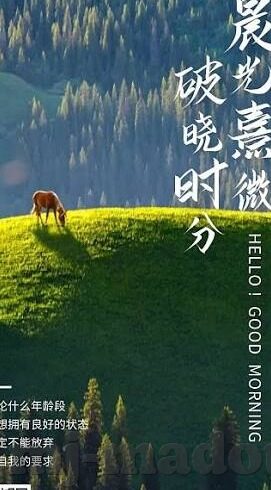 糖心vlog在线观看网址-旁观糖心Vlog，解锁在线观看的新体验